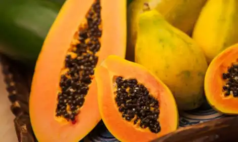 Top Benefits of Papain Enzyme Powder for Health and Nutrition Supplements